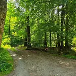 Dorfliebe Doernberg Bestwig