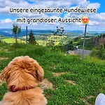 Dorfliebe Doernberg * Bestwig