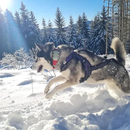 Dorfliebe Doernberg 公寓 *