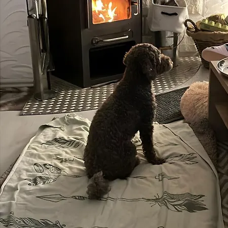 公寓 Dorfliebe Doernberg 贝斯特维格