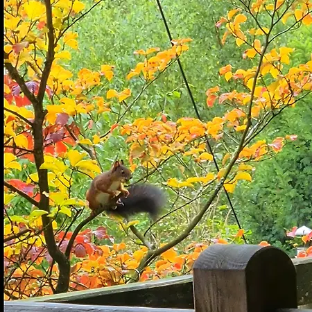 Dorfliebe Doernberg 公寓 贝斯特维格