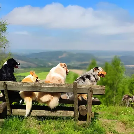 公寓 Dorfliebe Doernberg 贝斯特维格