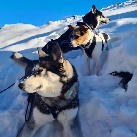 Апартаменты Dorfliebe Doernberg *