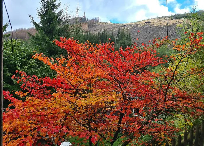 Dorfliebe Doernberg 公寓 *