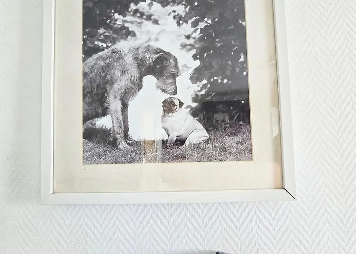 公寓 Dorfliebe Doernberg 贝斯特维格