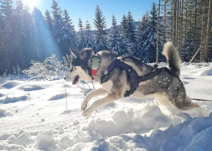 Dorfliebe Doernberg 公寓 *