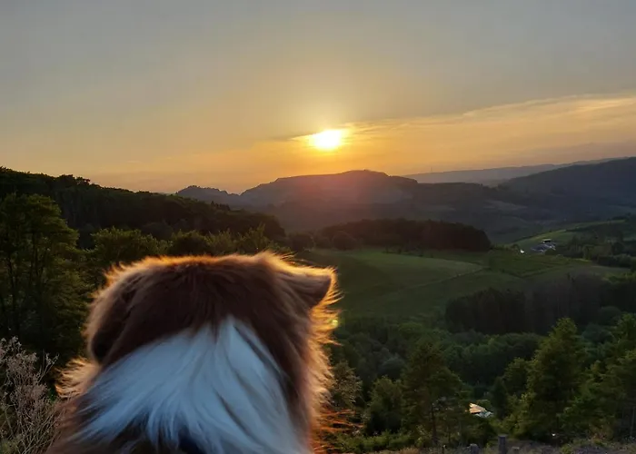 公寓 Dorfliebe Doernberg *