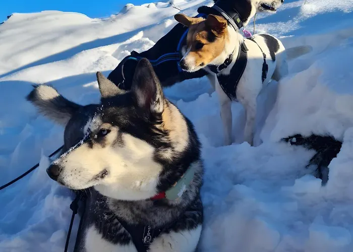 公寓 Dorfliebe Doernberg