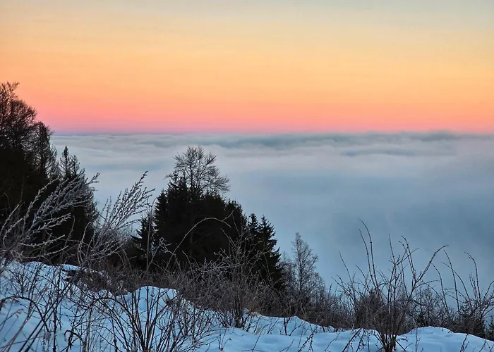 Dorfliebe Doernberg * Bestwig