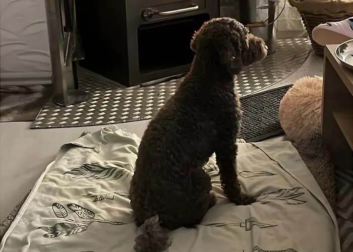 公寓 Dorfliebe Doernberg 贝斯特维格