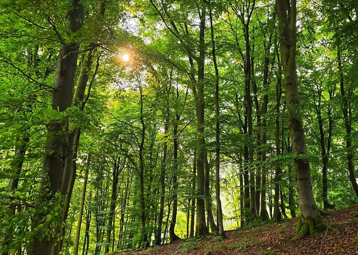 Dorfliebe Doernberg 公寓