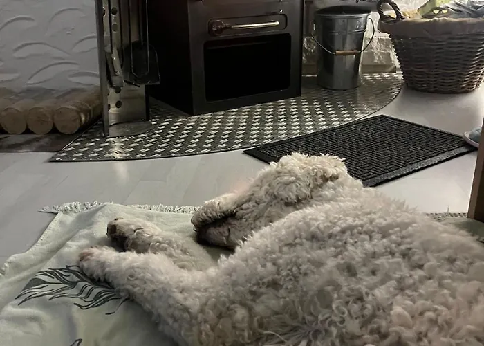 Dorfliebe Doernberg 公寓 *