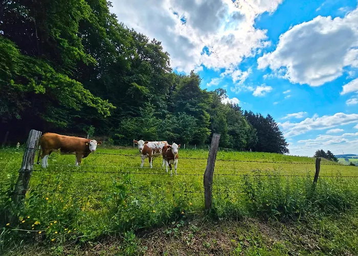 Dorfliebe Doernberg *