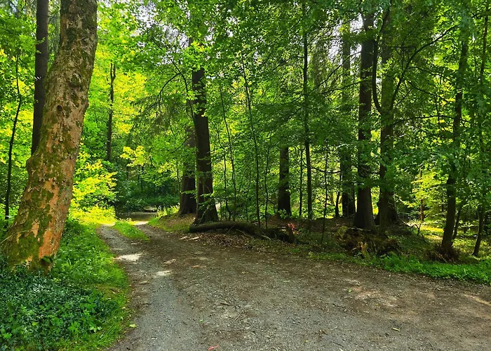 Dorfliebe Doernberg Bestwig