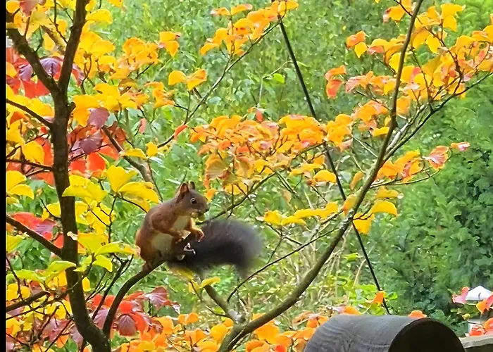 Dorfliebe Doernberg 公寓 贝斯特维格